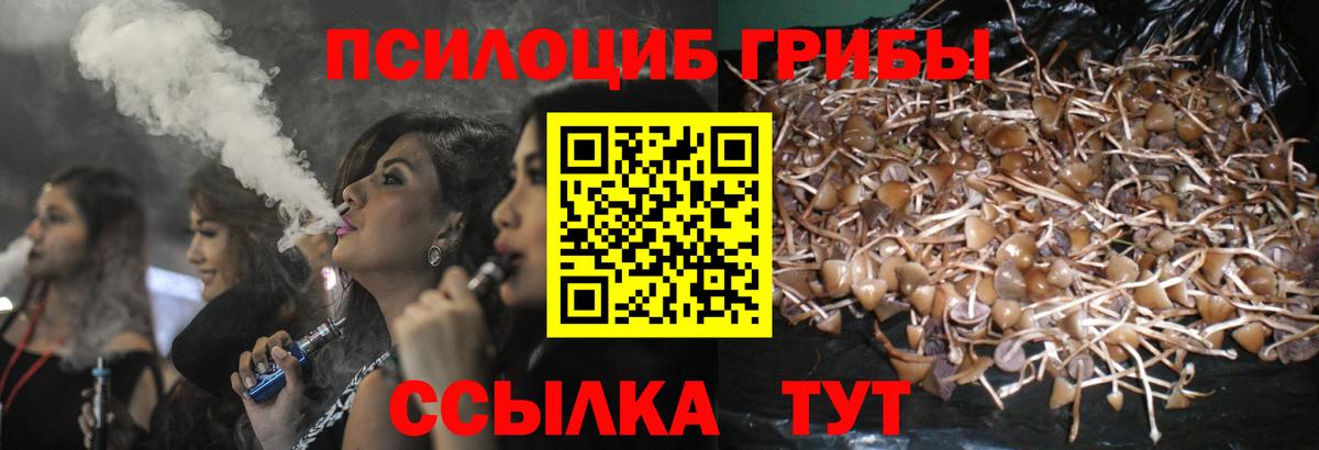 Псилоцибиновые грибы ЛСД Нижнеудинск