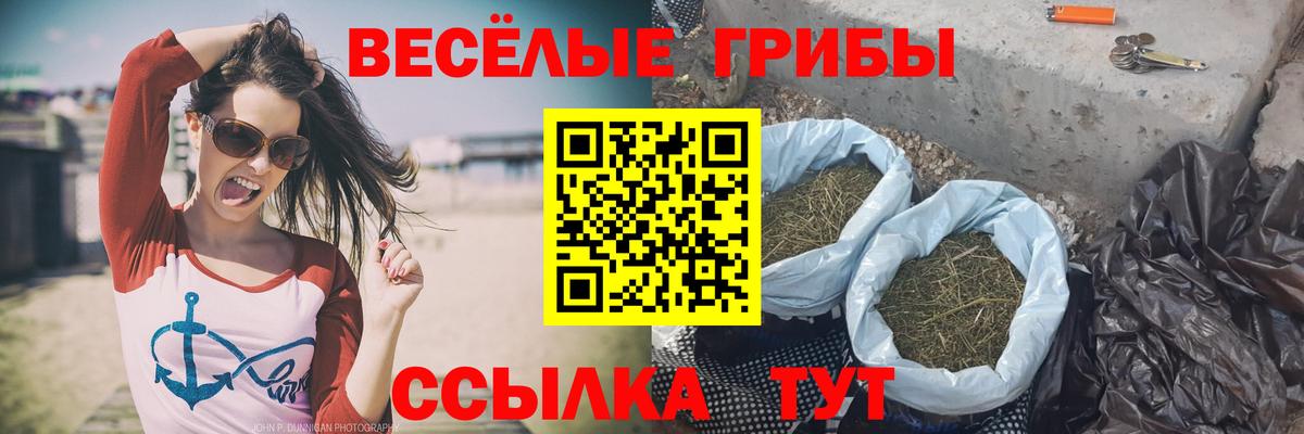 Галлюциногенные грибы ЛСД  Вход с VPN  Нижнеудинск 